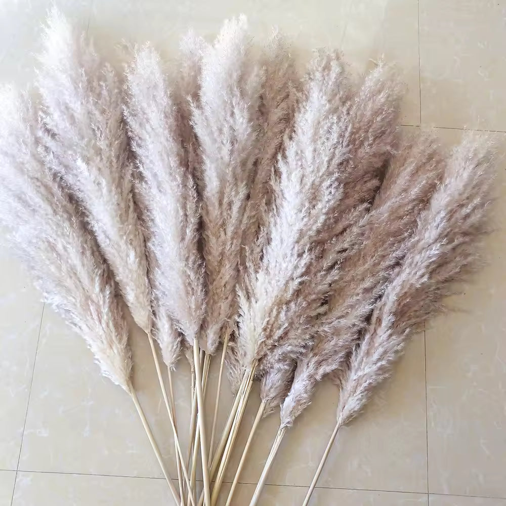 NordHeim Deluxe Pampas