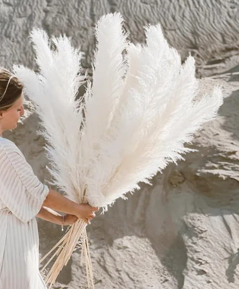 NordHeim Deluxe Pampas