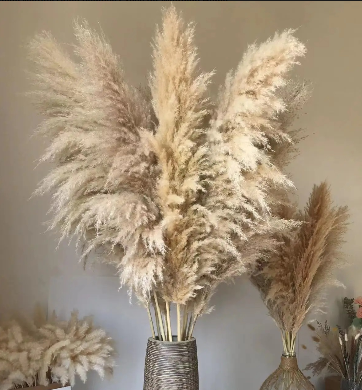 NordHeim Deluxe Pampas