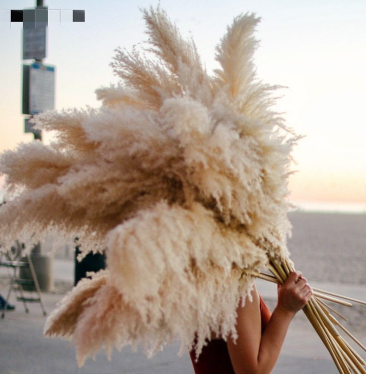 NordHeim Deluxe Pampas