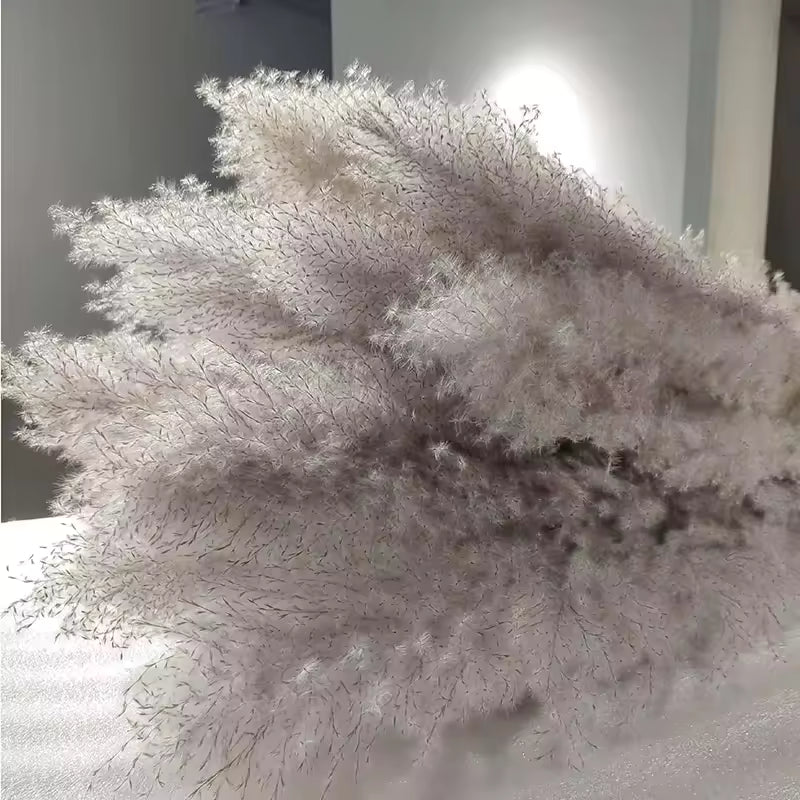 NordHeim Deluxe Pampas